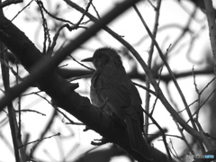 今年も終わりか