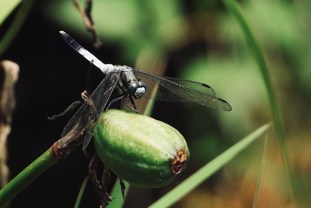 風が吹いても大丈夫