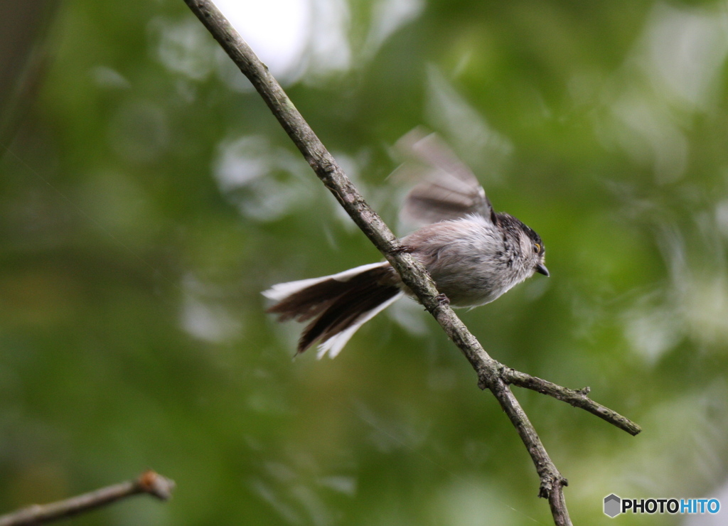 飛び立つ５秒前