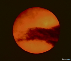 ６月１日の朝陽さんです