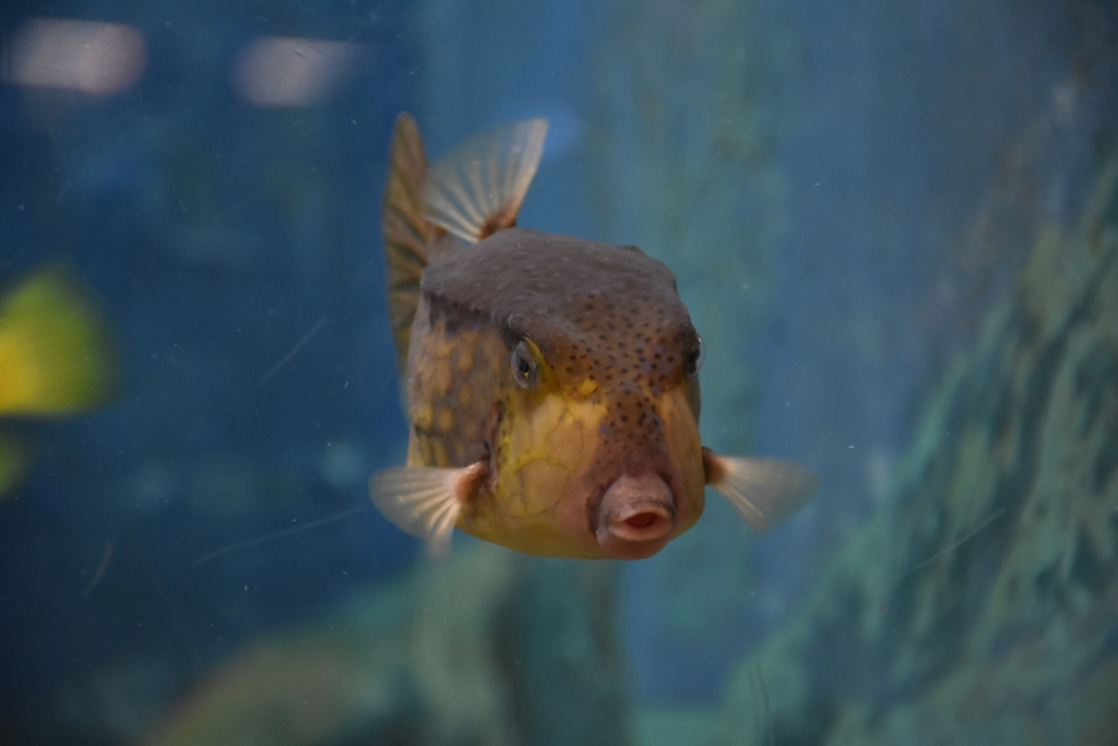 久しぶり２　元気だった