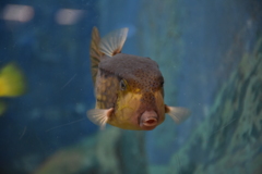 久しぶり２　元気だった