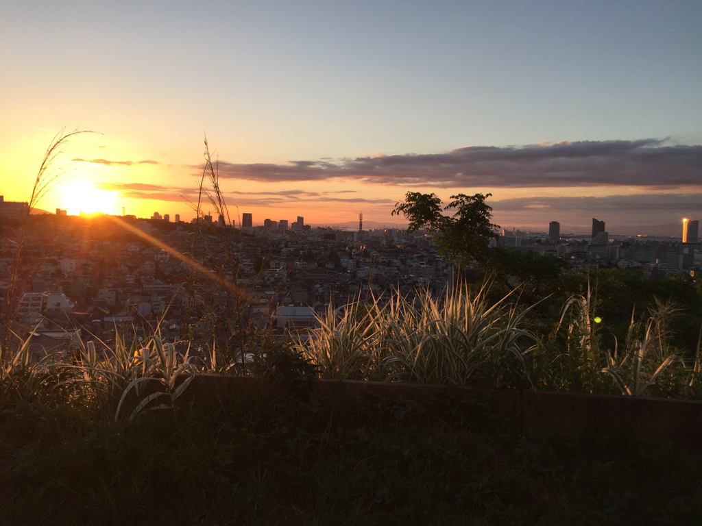 ２０１７ ５月２７日神戸のあさ