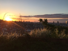 ２０１７ ５月２７日神戸のあさ