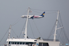 久しぶりの飛行機