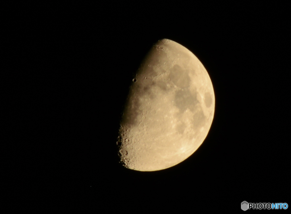 たこ焼き間もなくできます