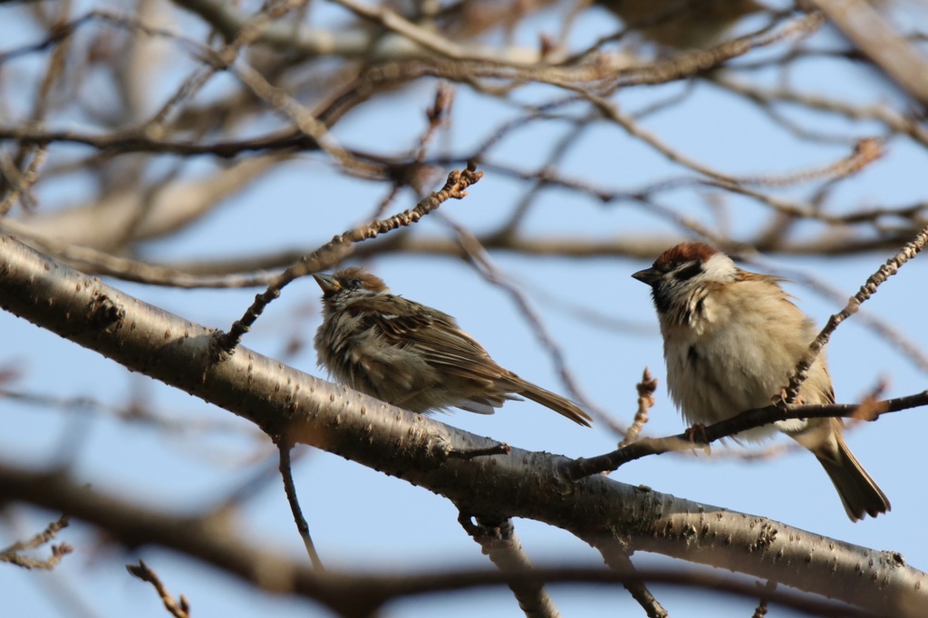 セットが乱れる
