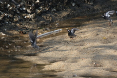 ３コーナーに差し掛かりました