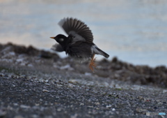 また会いましょう