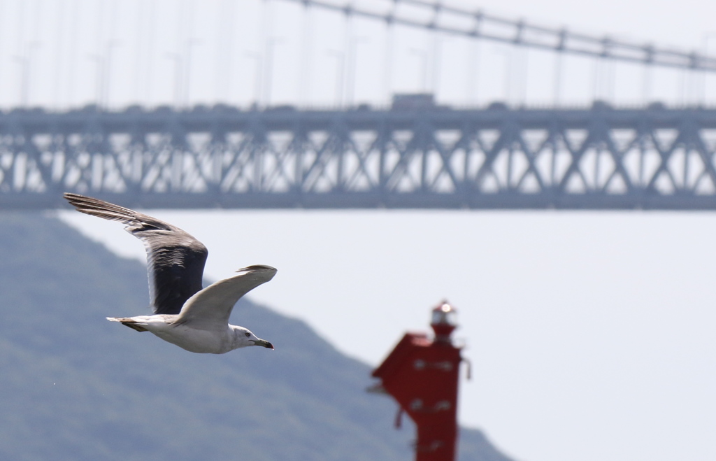 明石海峡大橋渋滞中