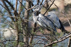 バランス感覚が良いですね
