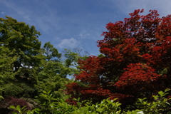 春の風