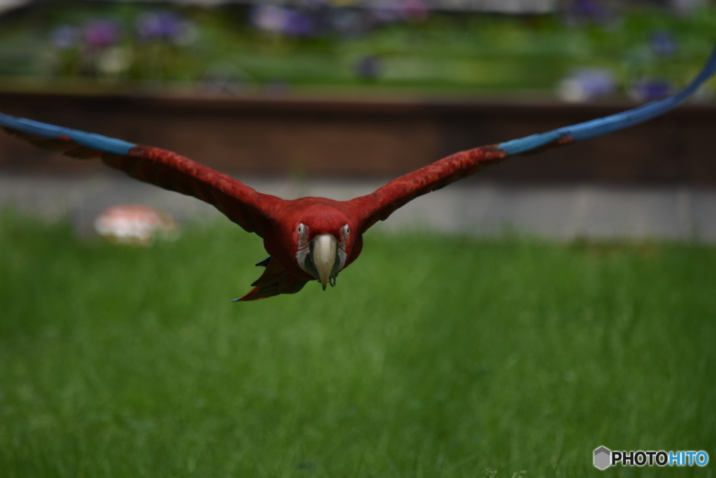 スパイダーマン