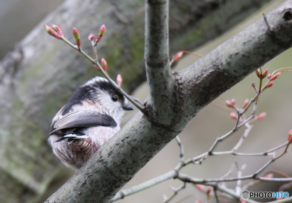 見られると照れます