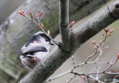 見られると照れます