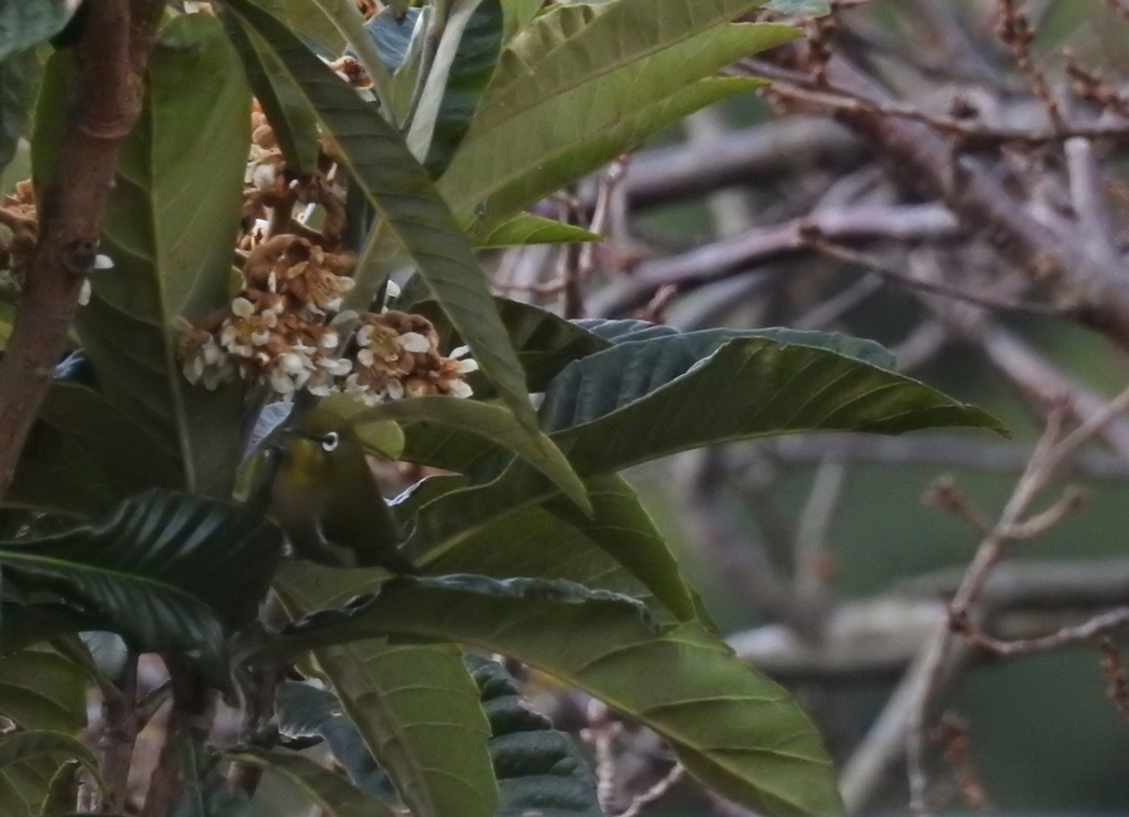 自然にとけ込んで