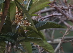 自然にとけ込んで