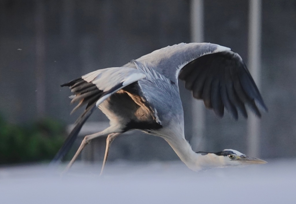 さぁ〜行こうか