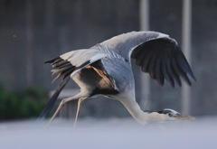 さぁ〜行こうか