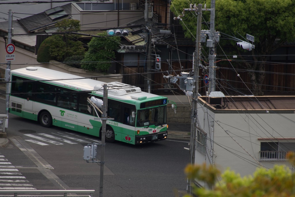 ５月６日散歩２