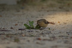 何かないかな〜