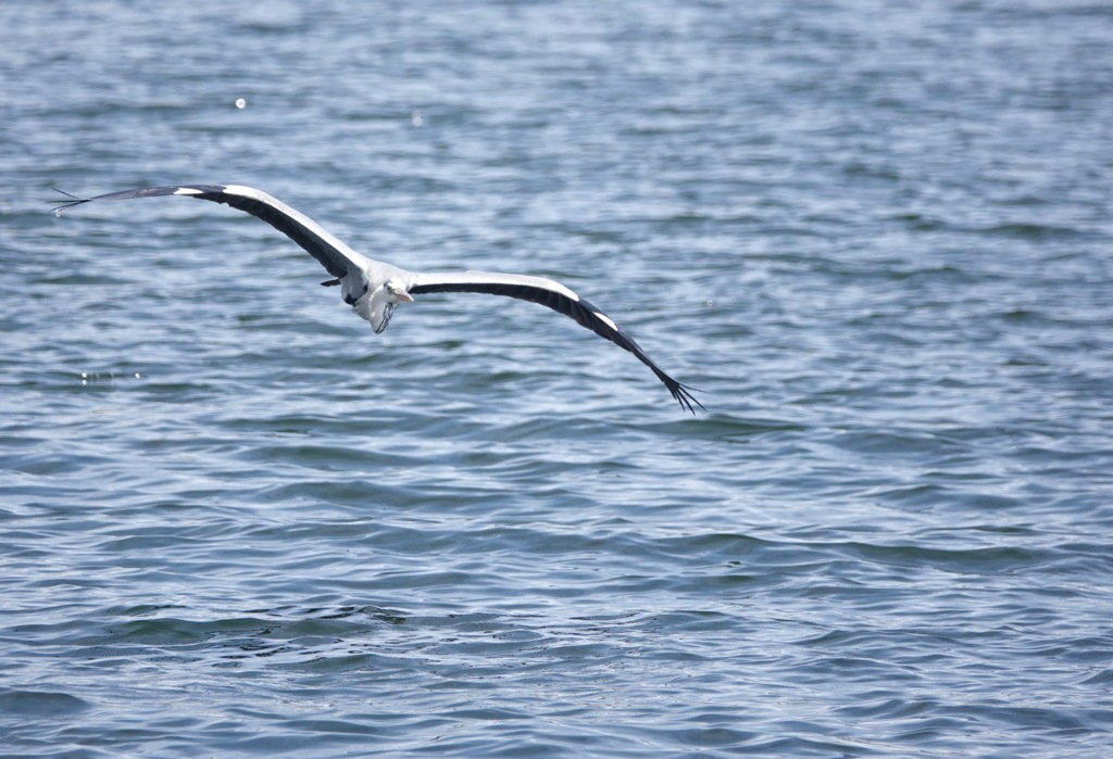 やって来ました漁港へ