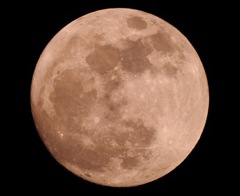 お月様に願いを