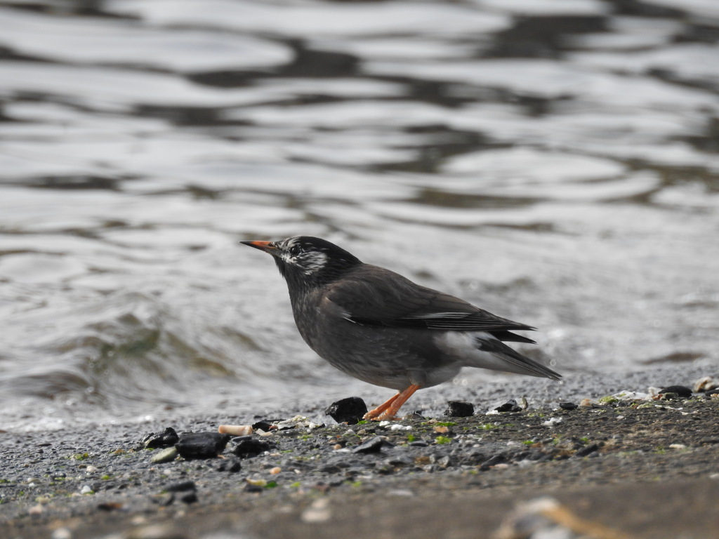 腹減ったなぁ〜