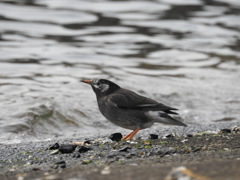 腹減ったなぁ〜