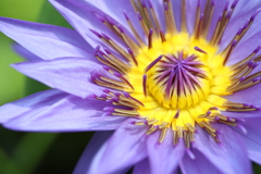 5D4TEST