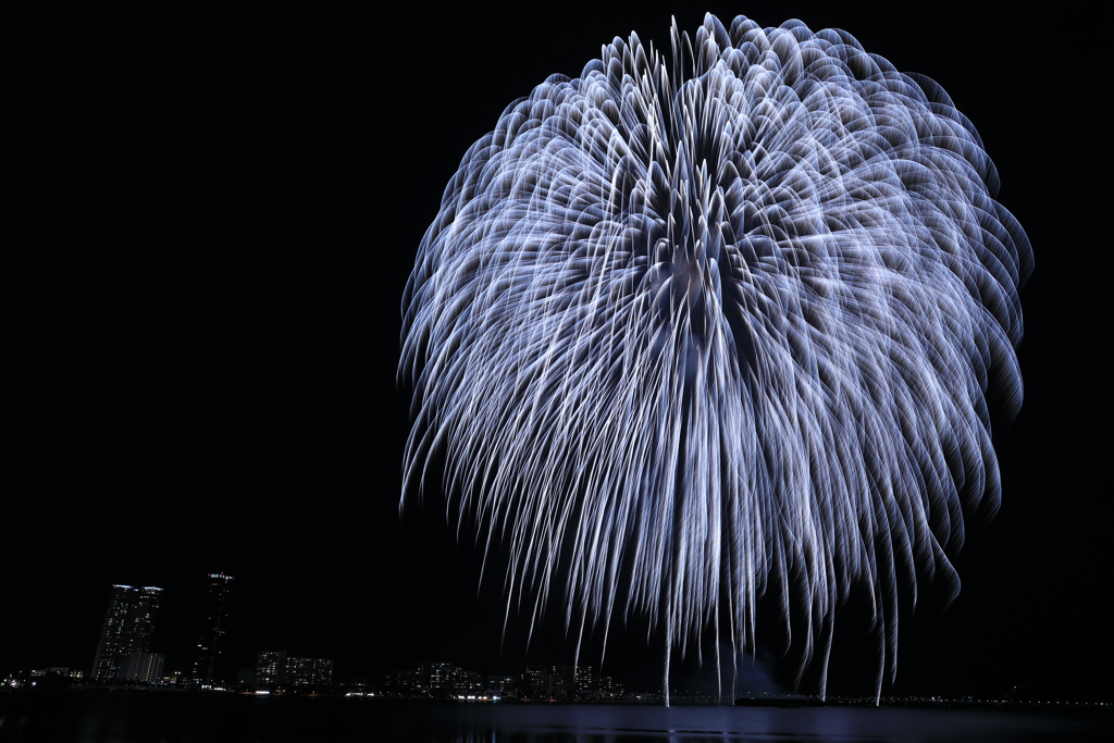 2016年最後の花火