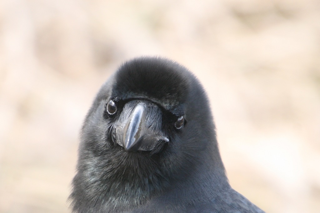 ん？