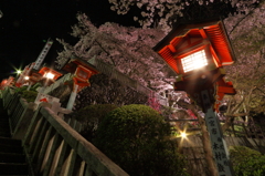 夜桜　成田山