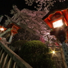 夜桜　成田山