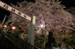 夜桜　成田山