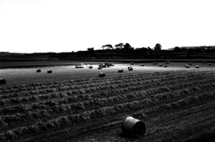 DSC09145