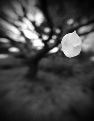 P3202560
