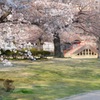 公園の昼下がり