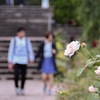 手をつなぎながら