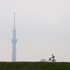 東京スカイツリー