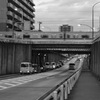 あ、電車。