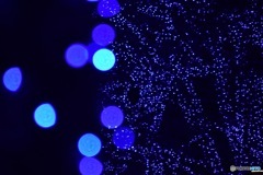 青い光