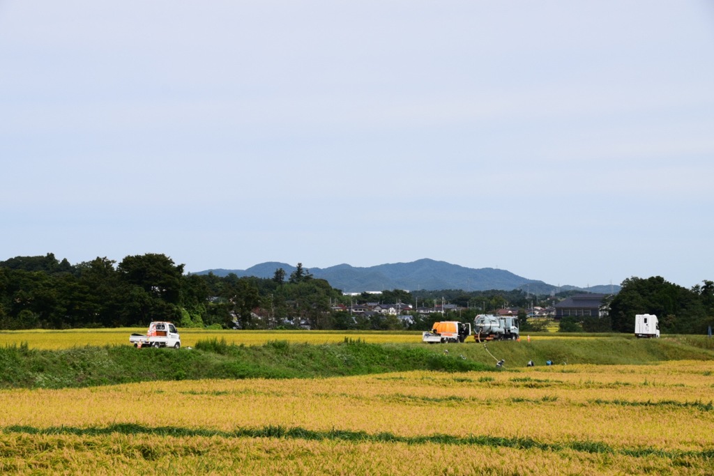 除染作業