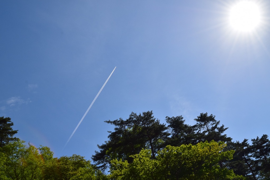 太陽に一途に