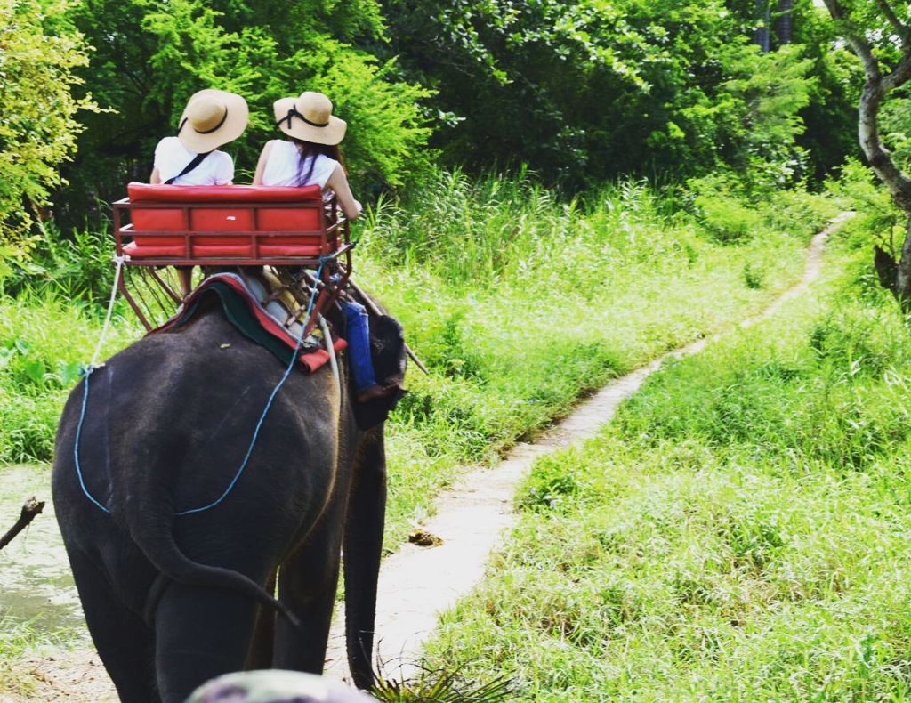 elephant village