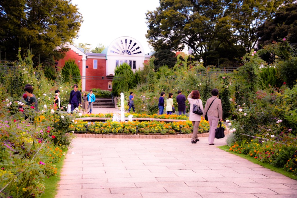 薔薇園