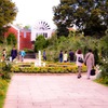 薔薇園