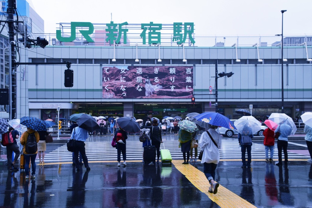 umbrella