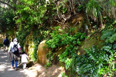 猿島散策