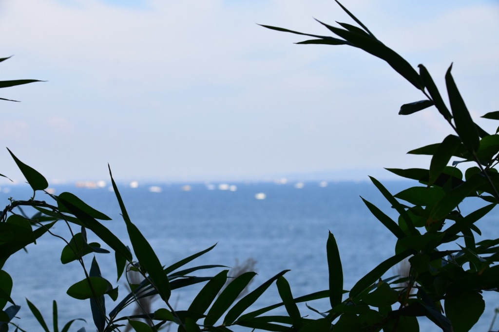 海
